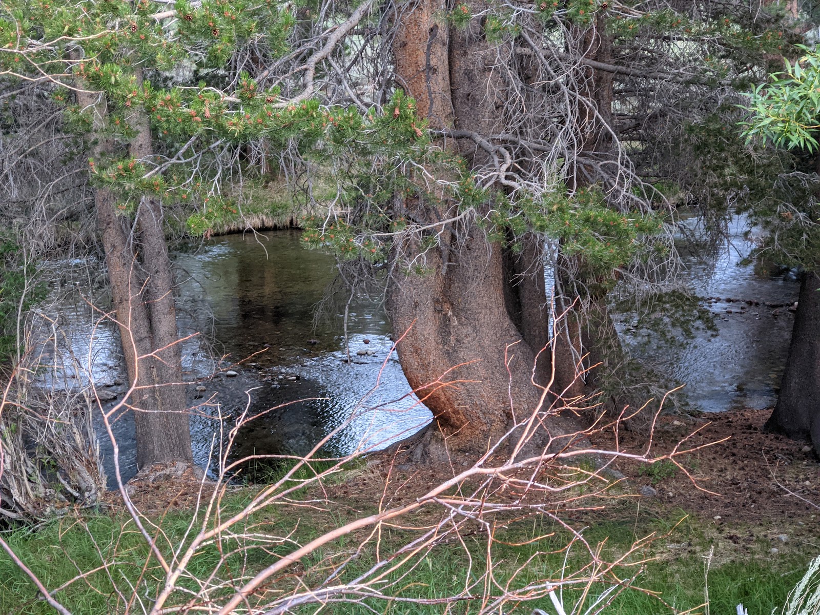 Robinson Creek Campground