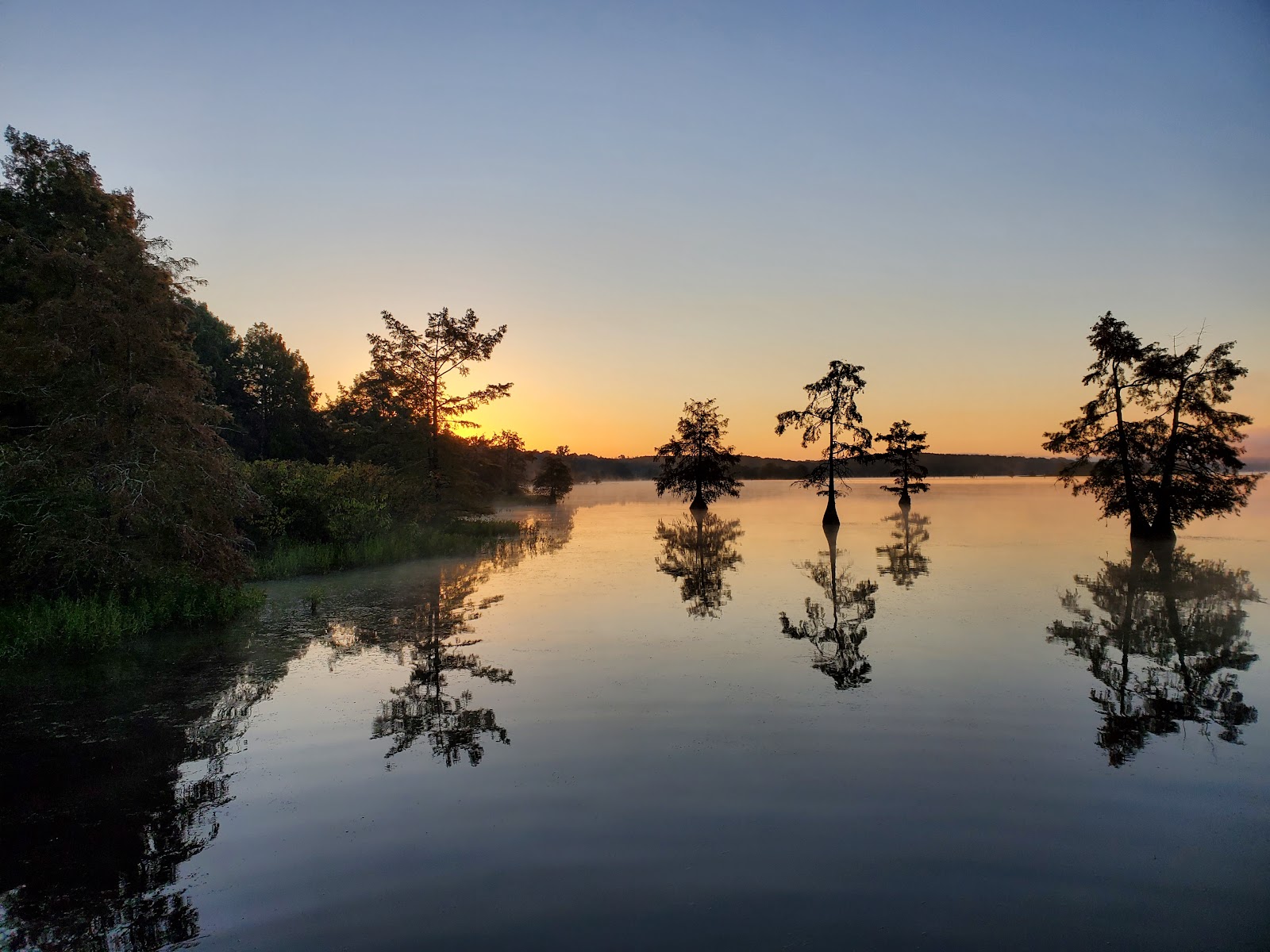 Lake D Arbonne State Park