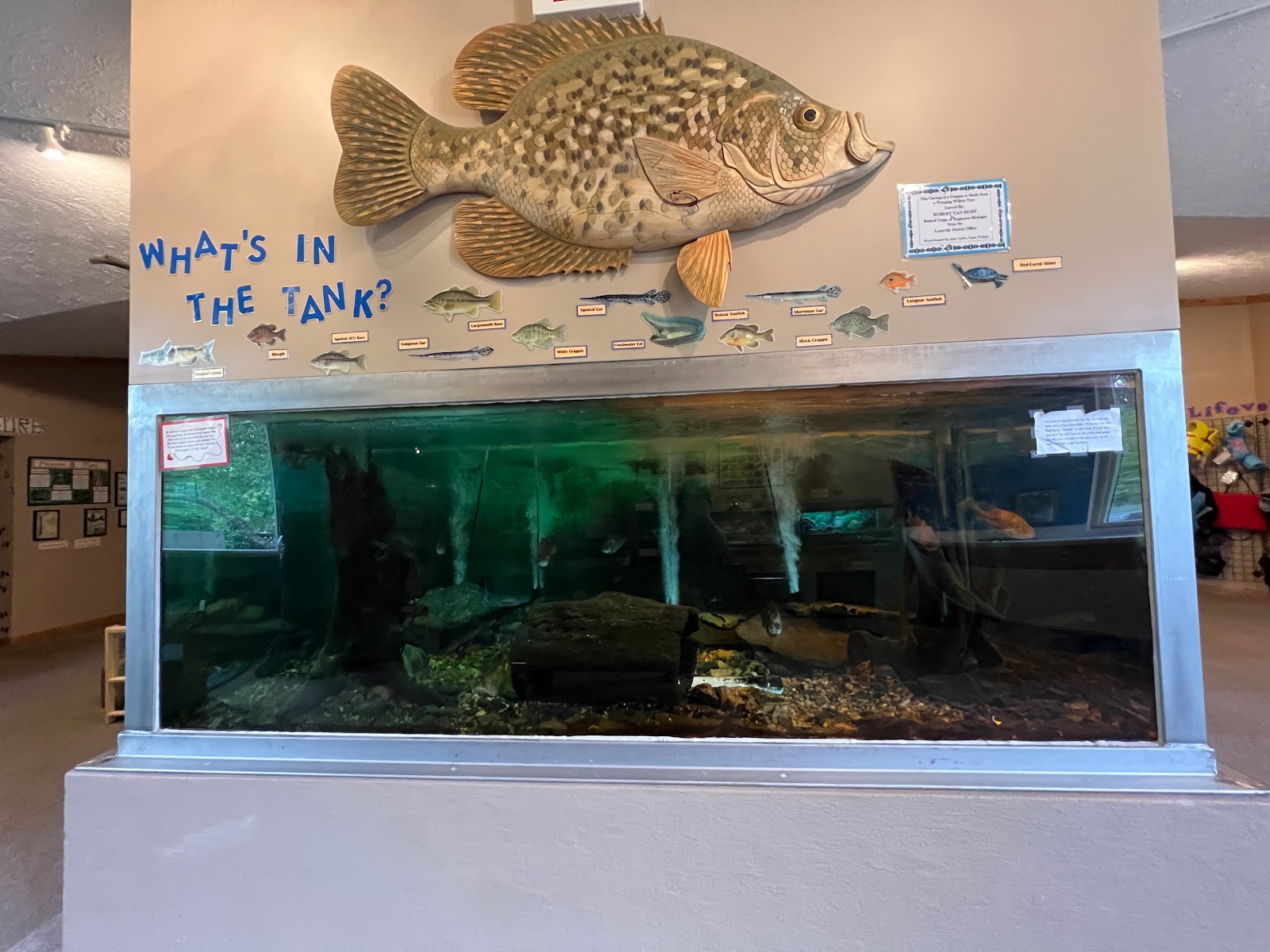 Visitor Center Picnic Shelter