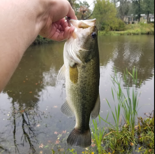 Melody Lakes RV and Mobile Home Community