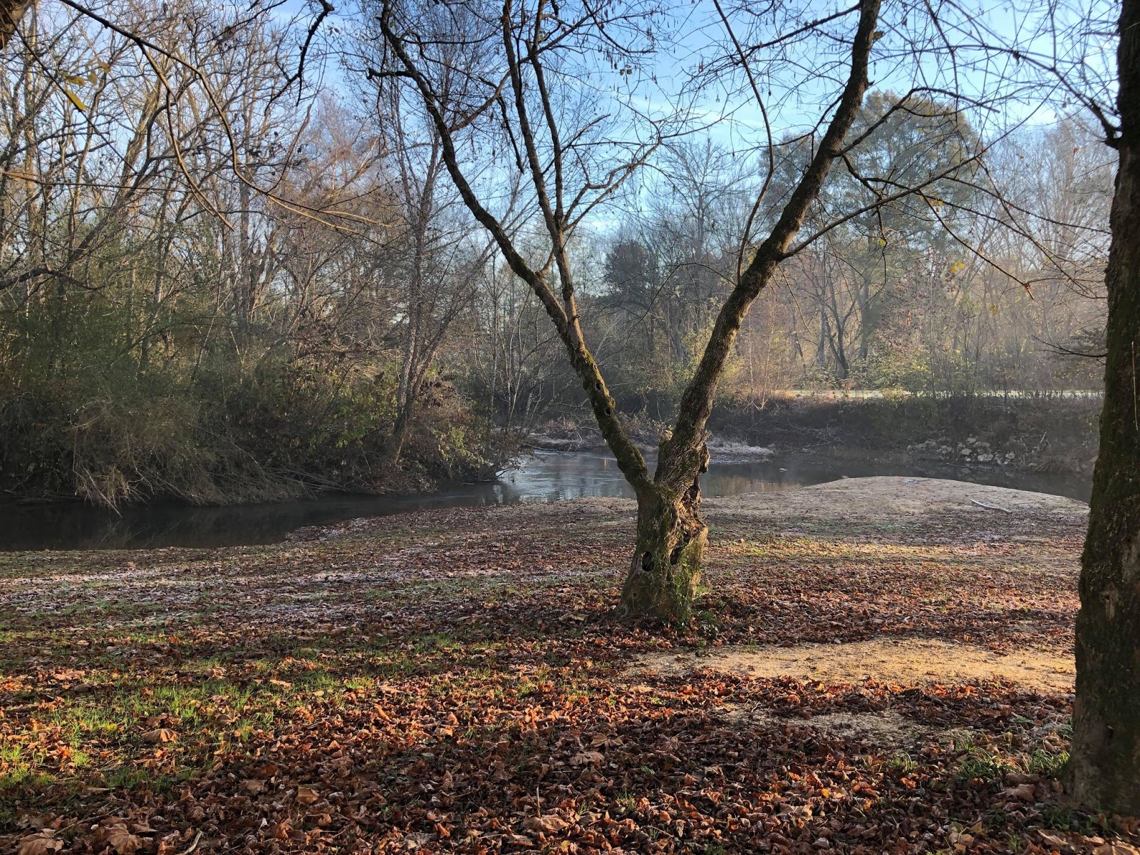 Cane 9 Creek RV Park