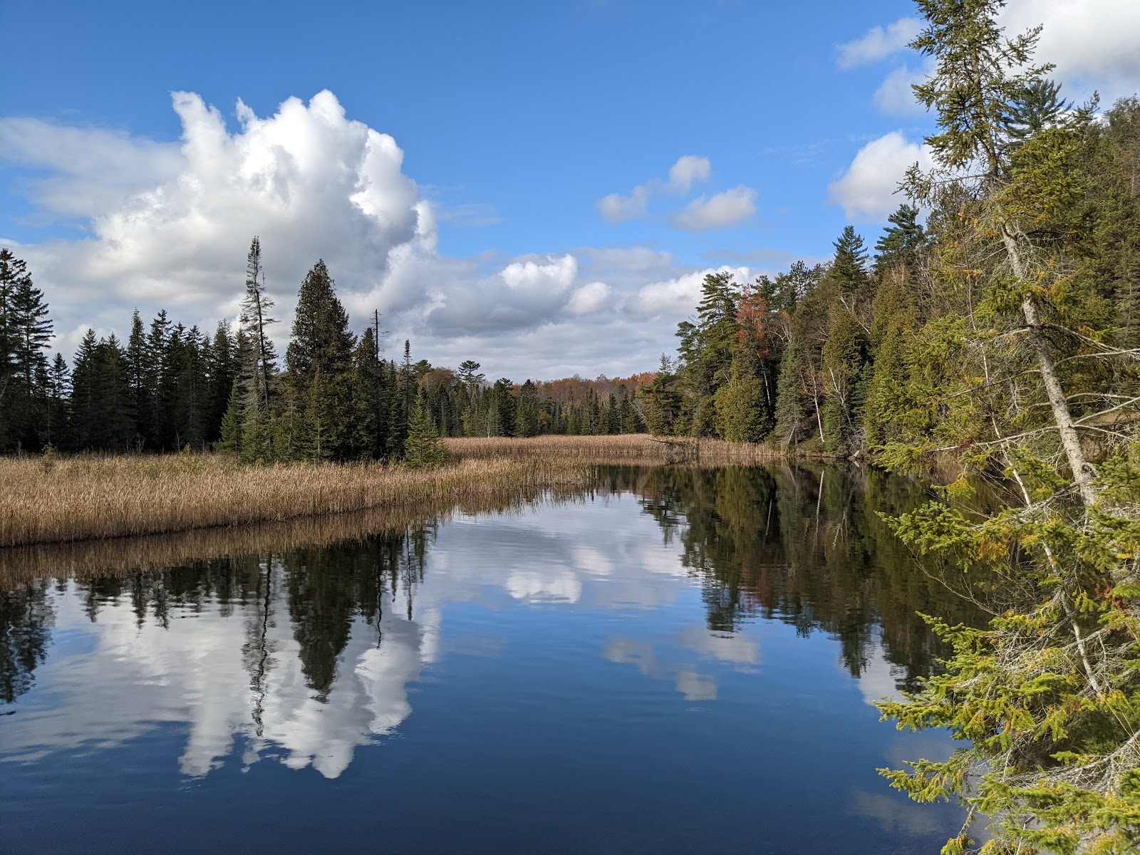 Au Sable River Primitive Camping