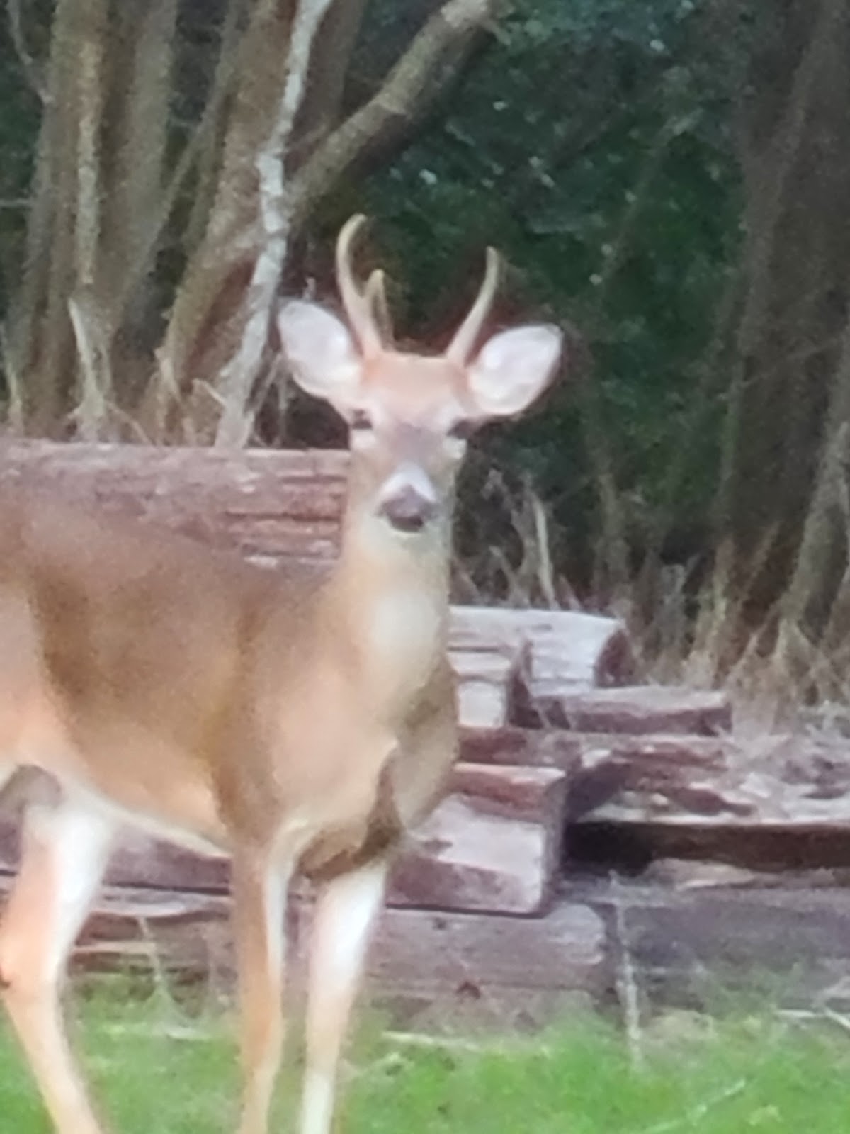 Colorado Landing RV & MH Community