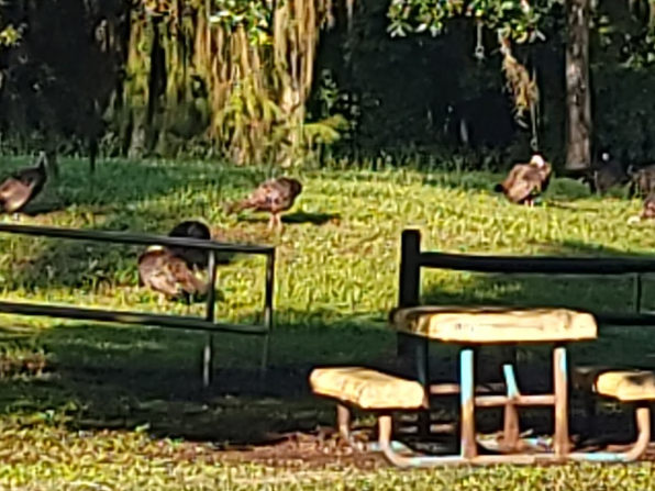 Lake Arbuckle County Park and Campground