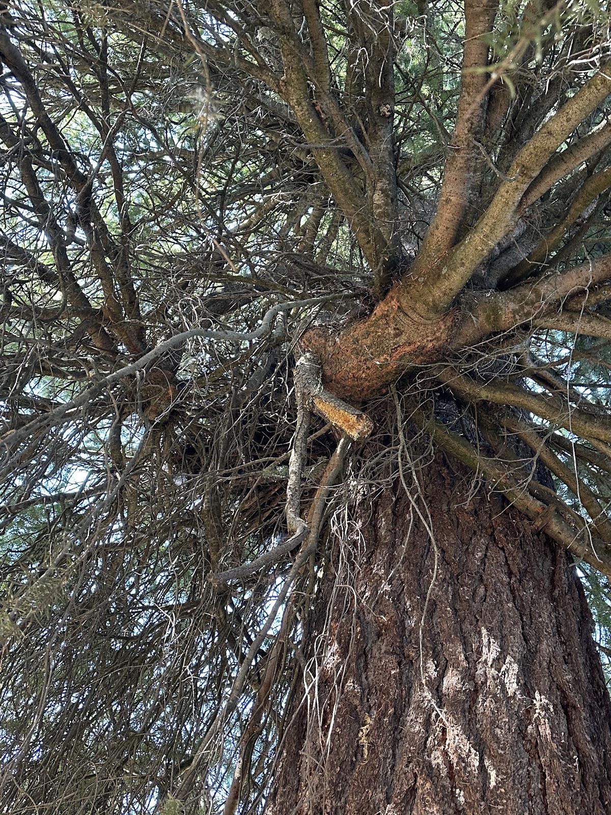 Walton Lake Campground