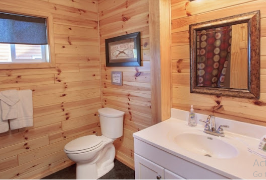 The Pines of Kabetogama