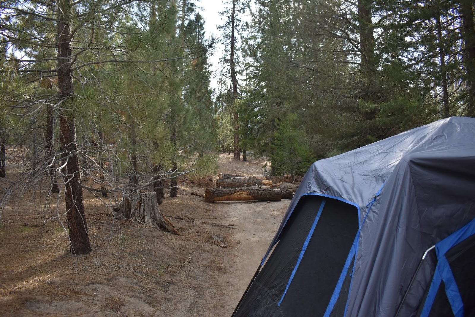 Peppermint Campground