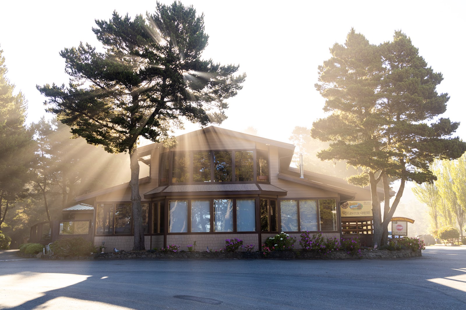 Honey Bear Campground & RV Resort