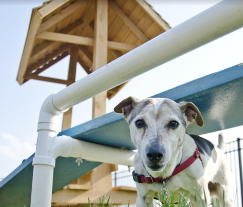 Rapid City - Black Hill KOA Holiday