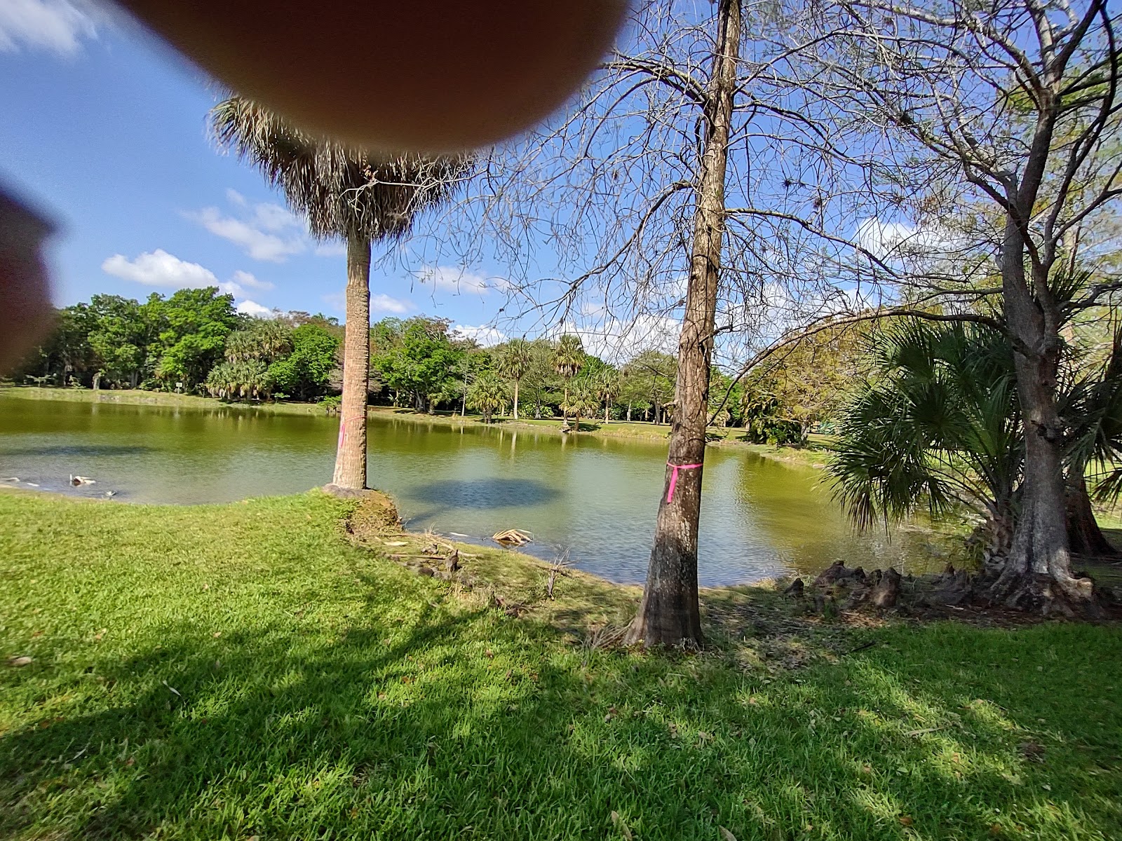 Easterlin Park Broward County Park