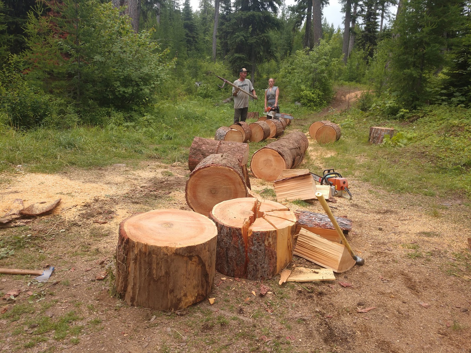 Canyon Creek Boat Ramp Campground