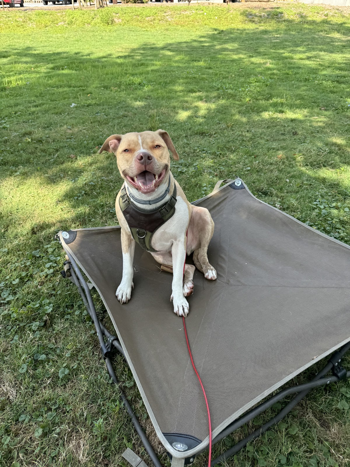 River Pointe Campground & Marina