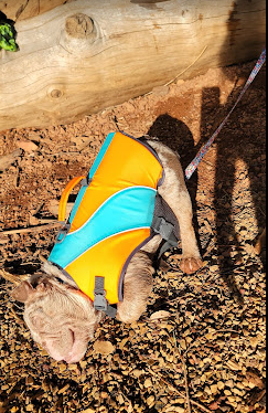 Peninsula Camping & Boating Resort