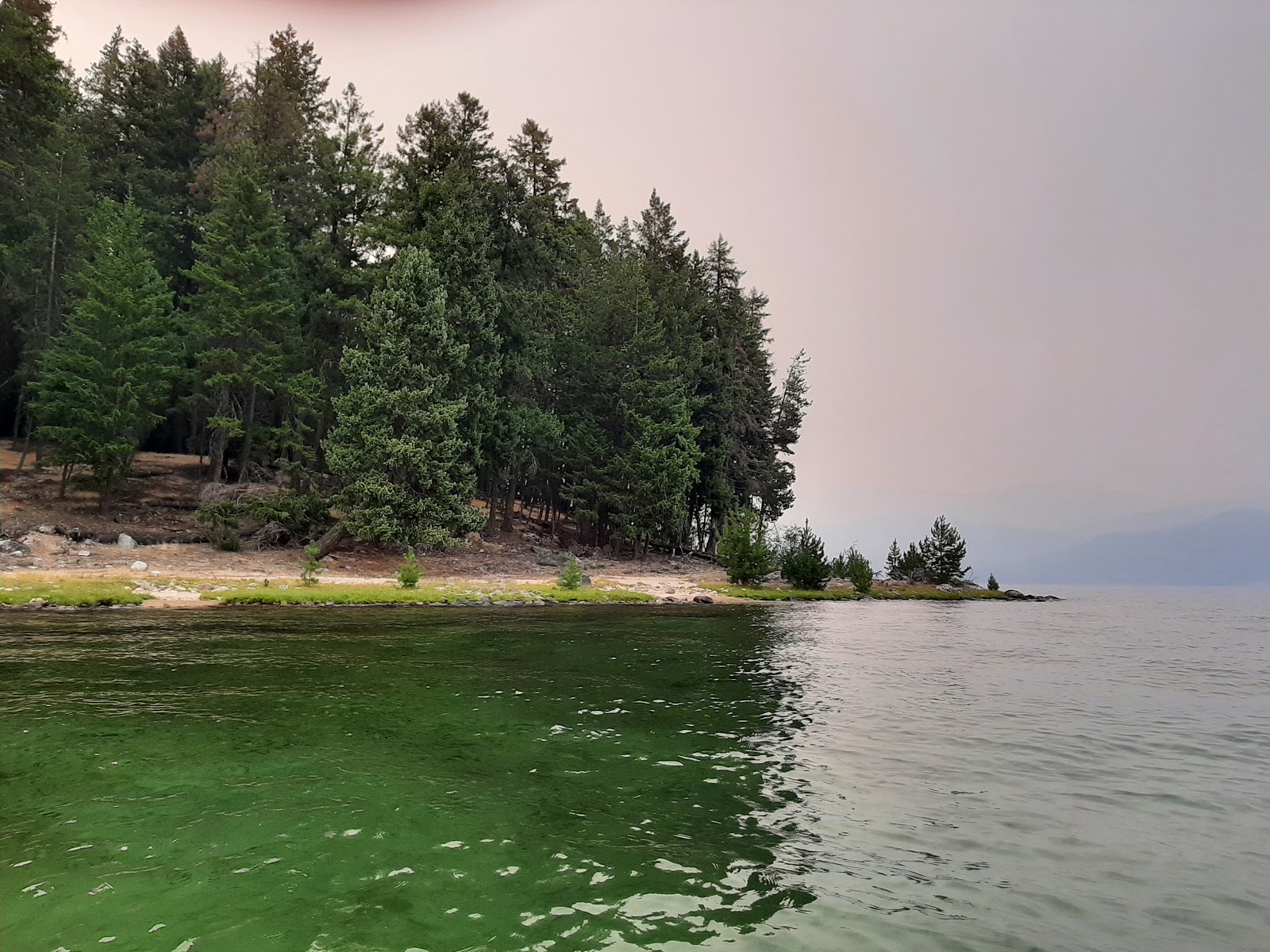 Bartoo Island Campground