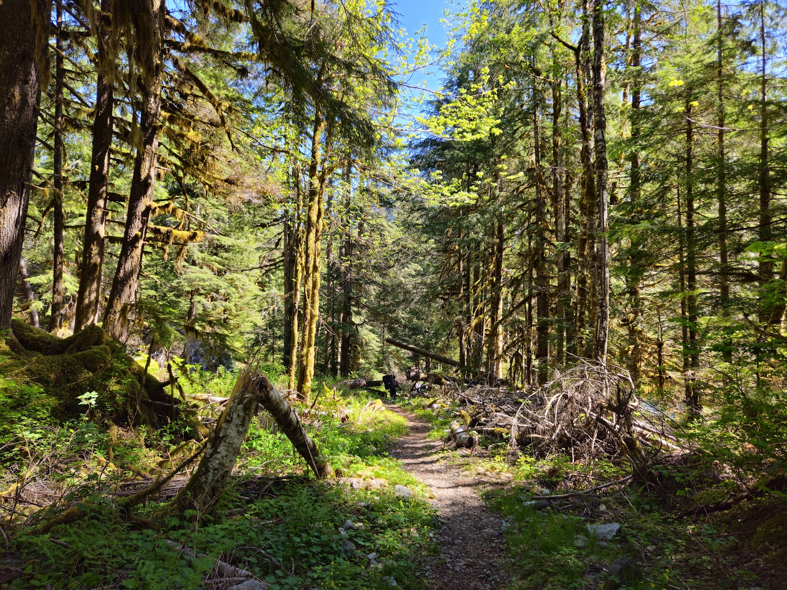 Miller River Campground