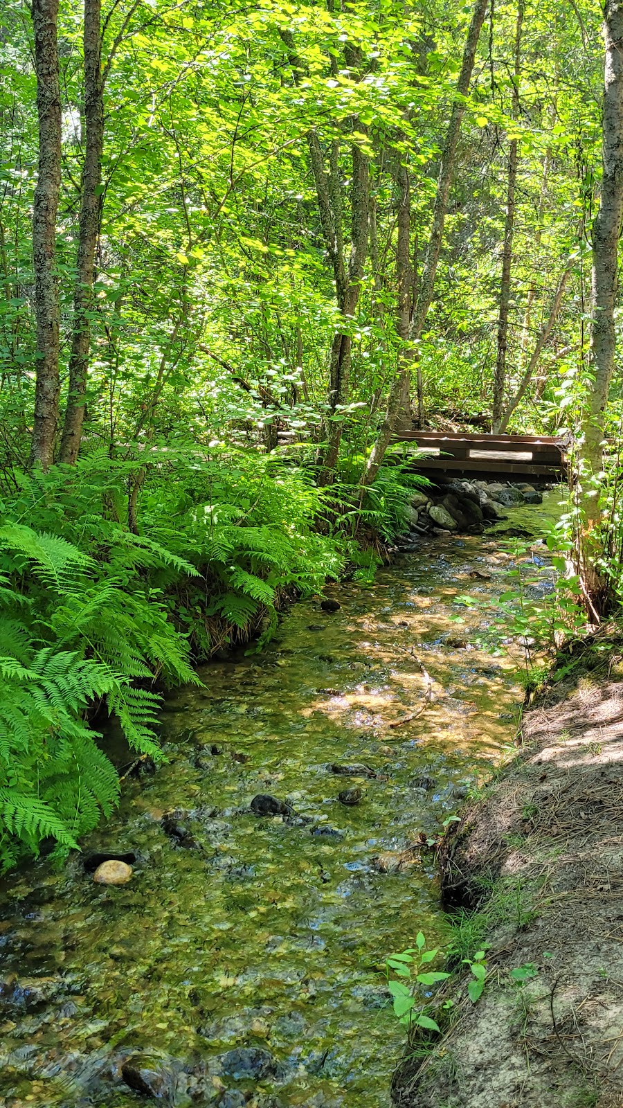 Larry Creek Group Campground