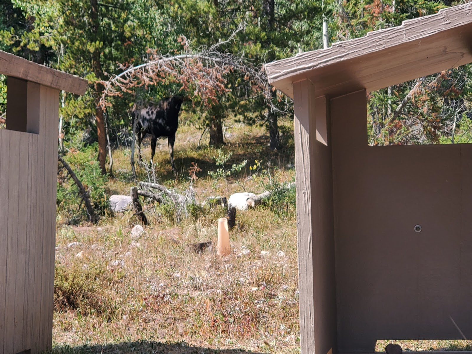 Beaver View Campground