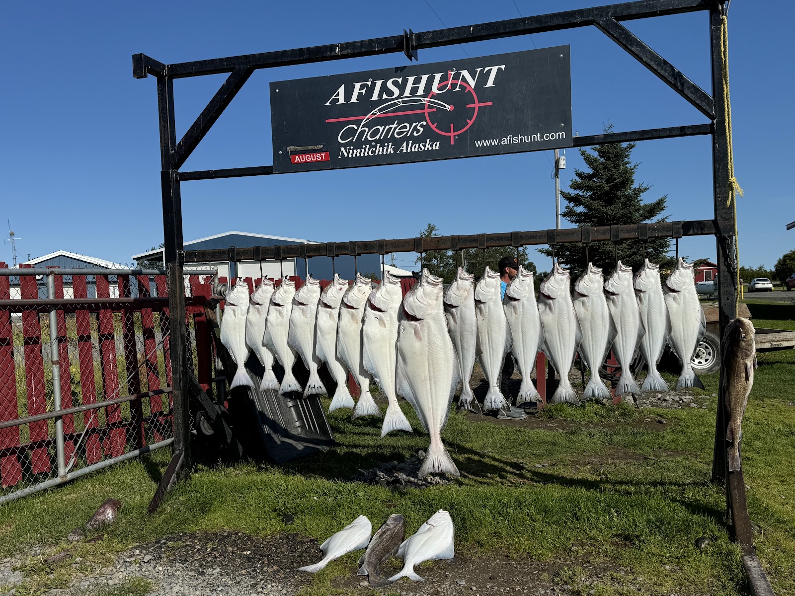 Alaskan Angler RV Resort & Cabins