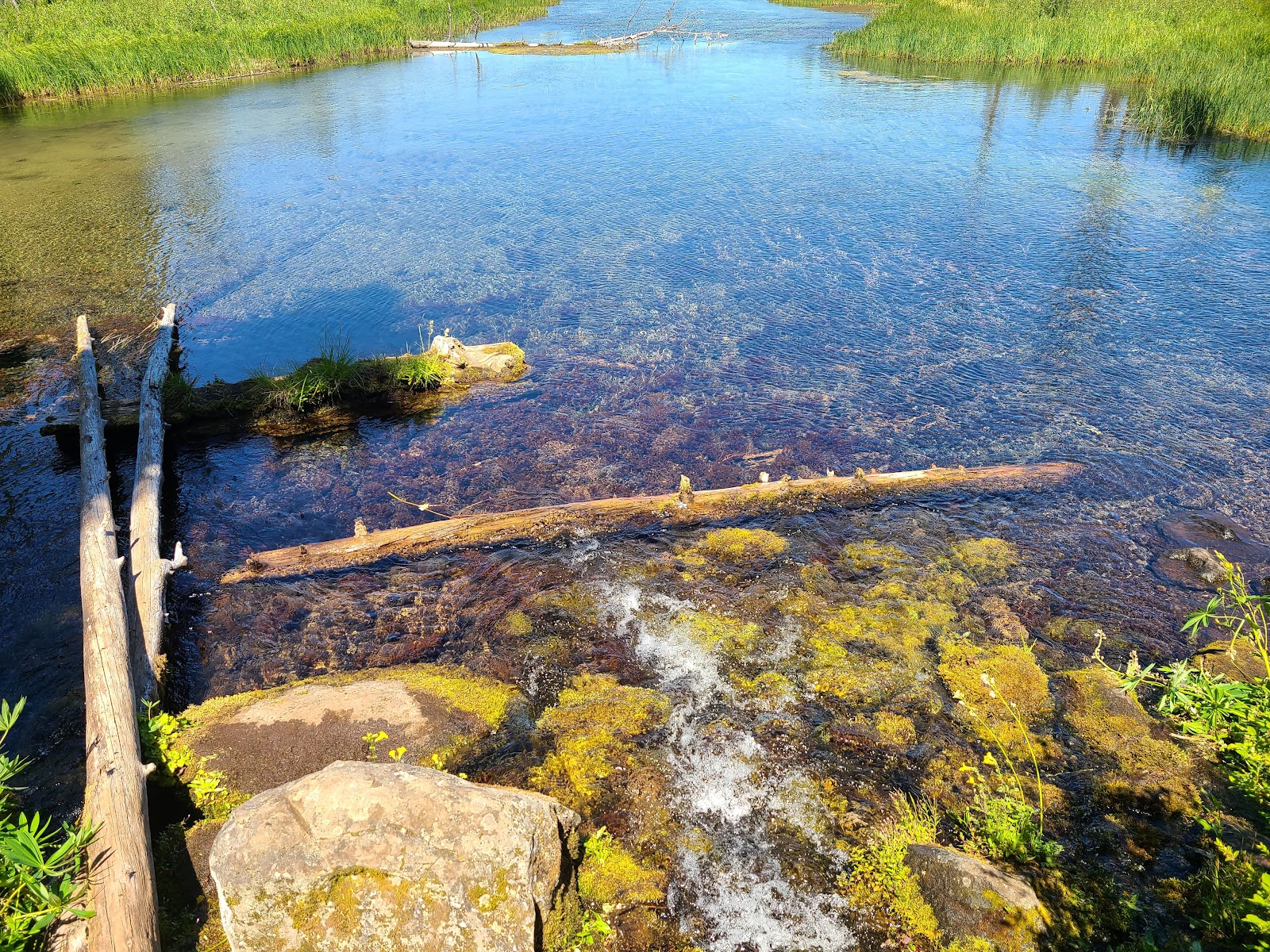 Clackamas Lake Campground