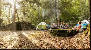 State Line Campground