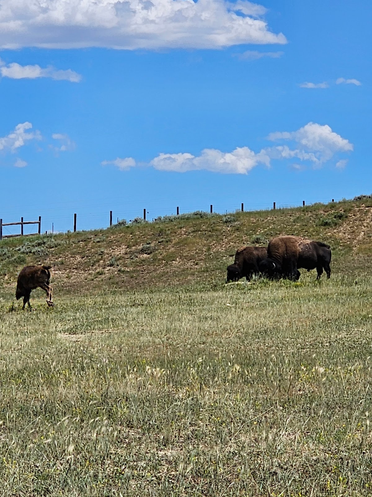 Bear River Campground