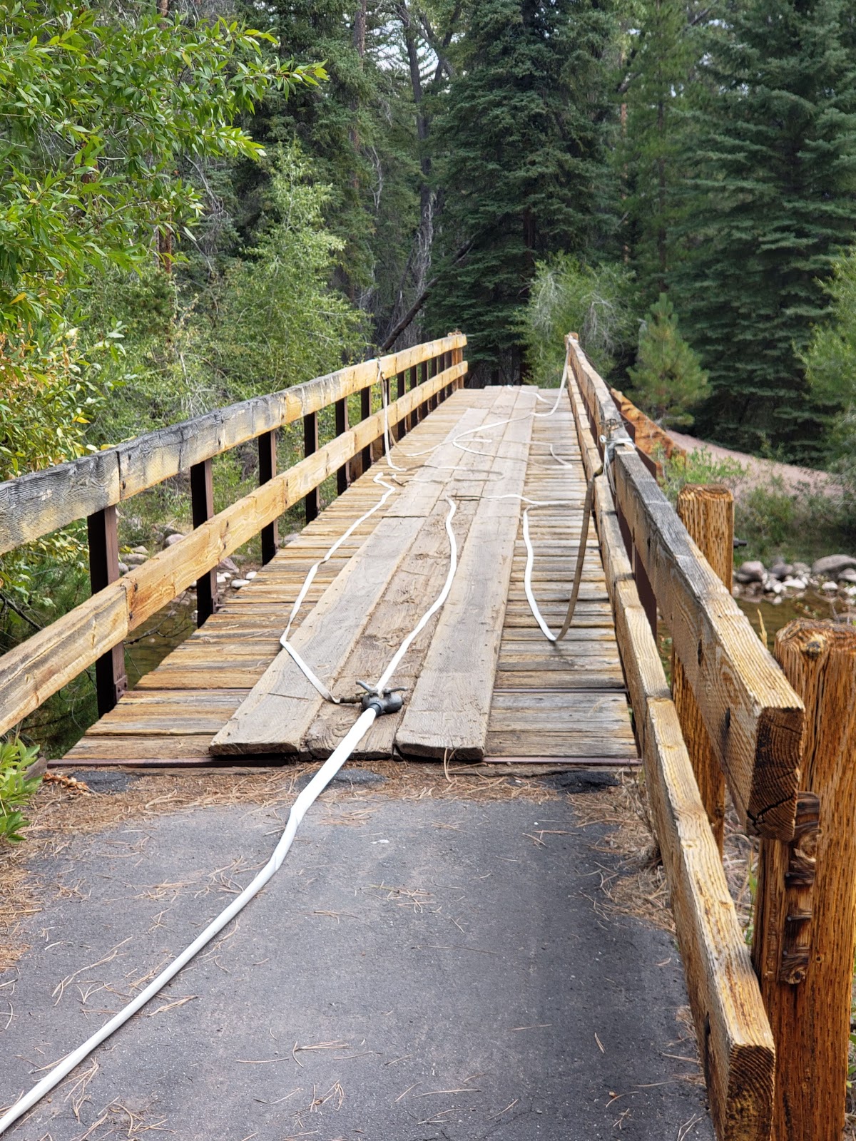 Yellow Pine Campground