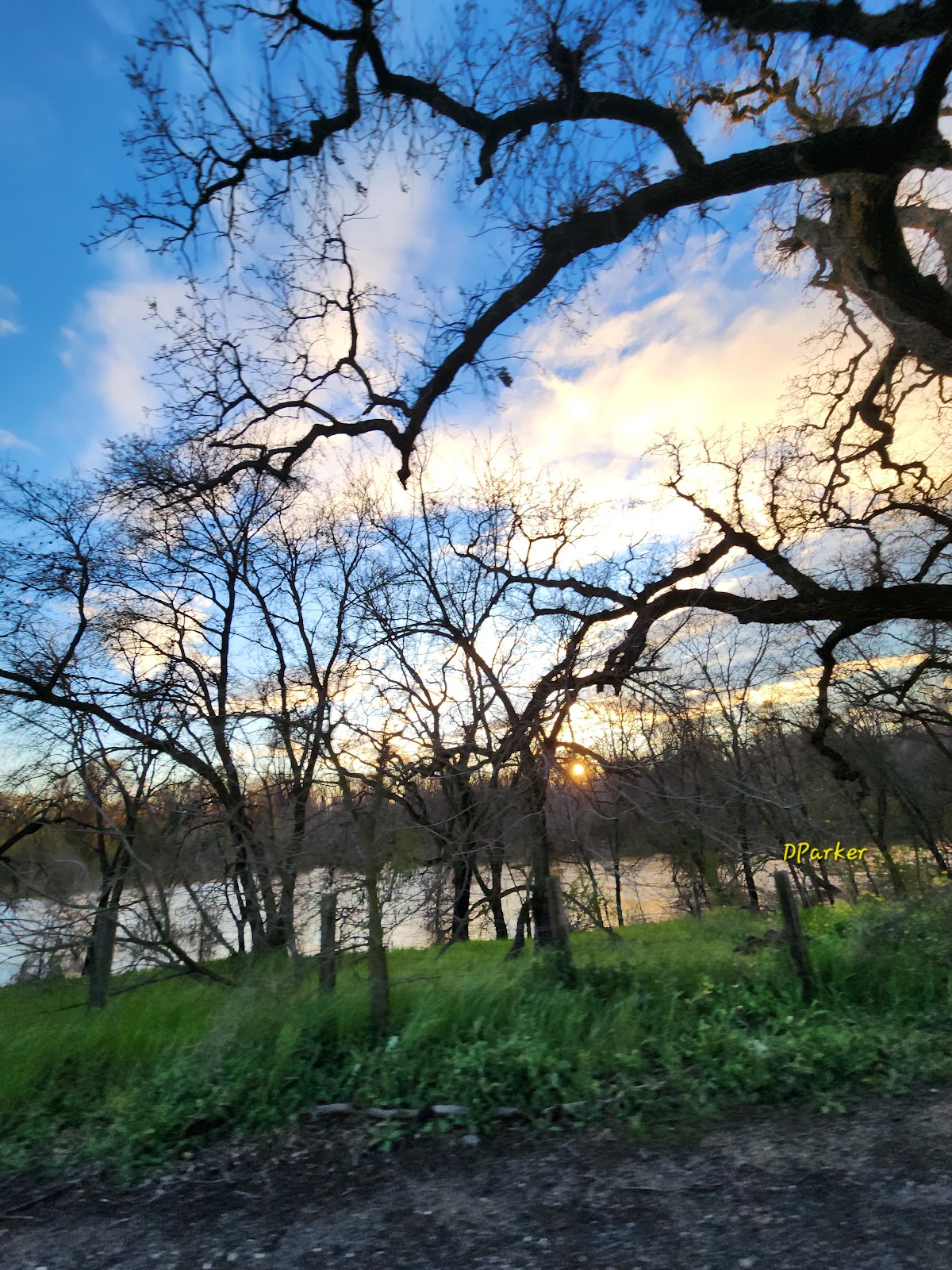 Bidwell-Sacramento River SP