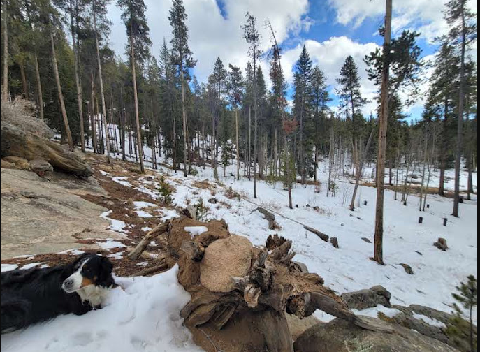Burning Bear Campground