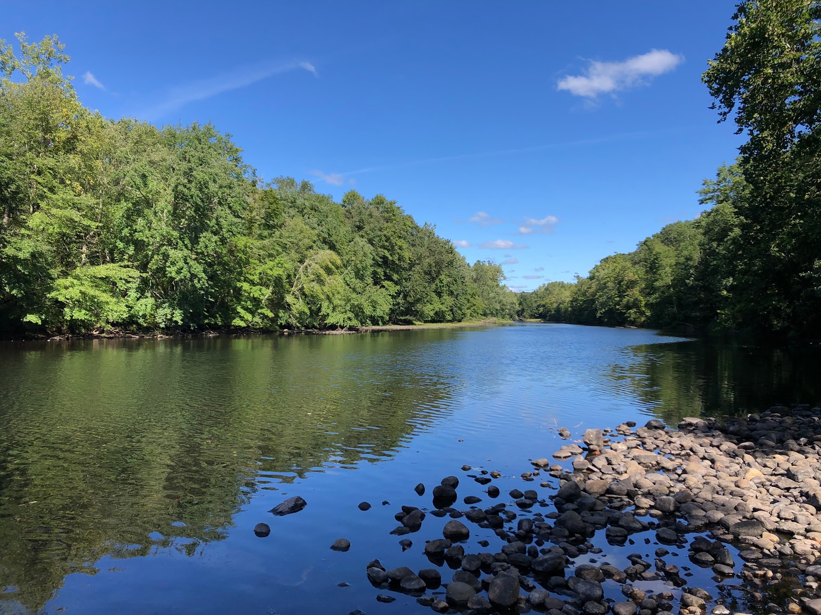 Salt Rock State Forest