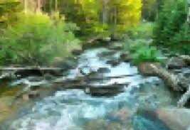 Bear Creek Canyon Park