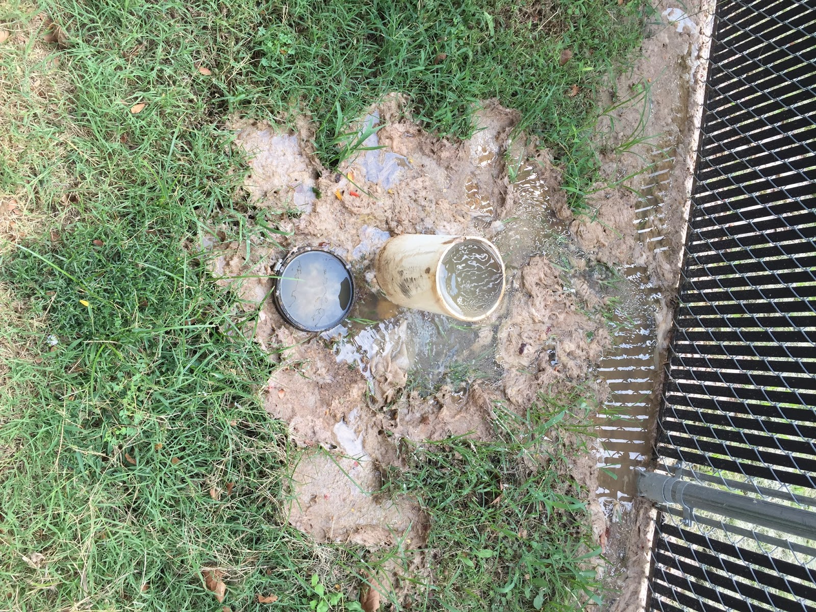 Arlington Forest Acres