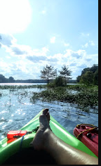 Mallard Creek Fish Camp