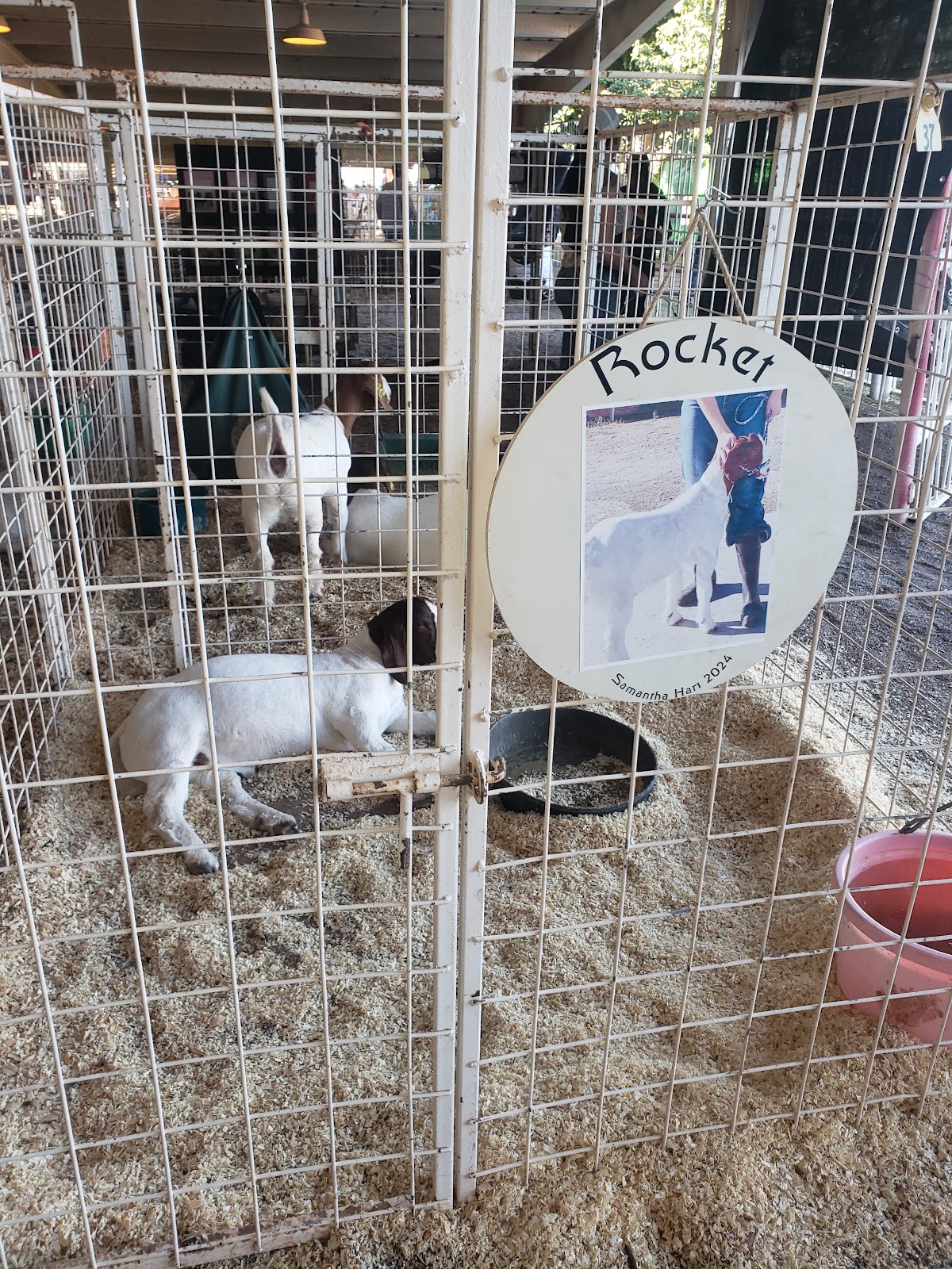 Cochise County Fairground