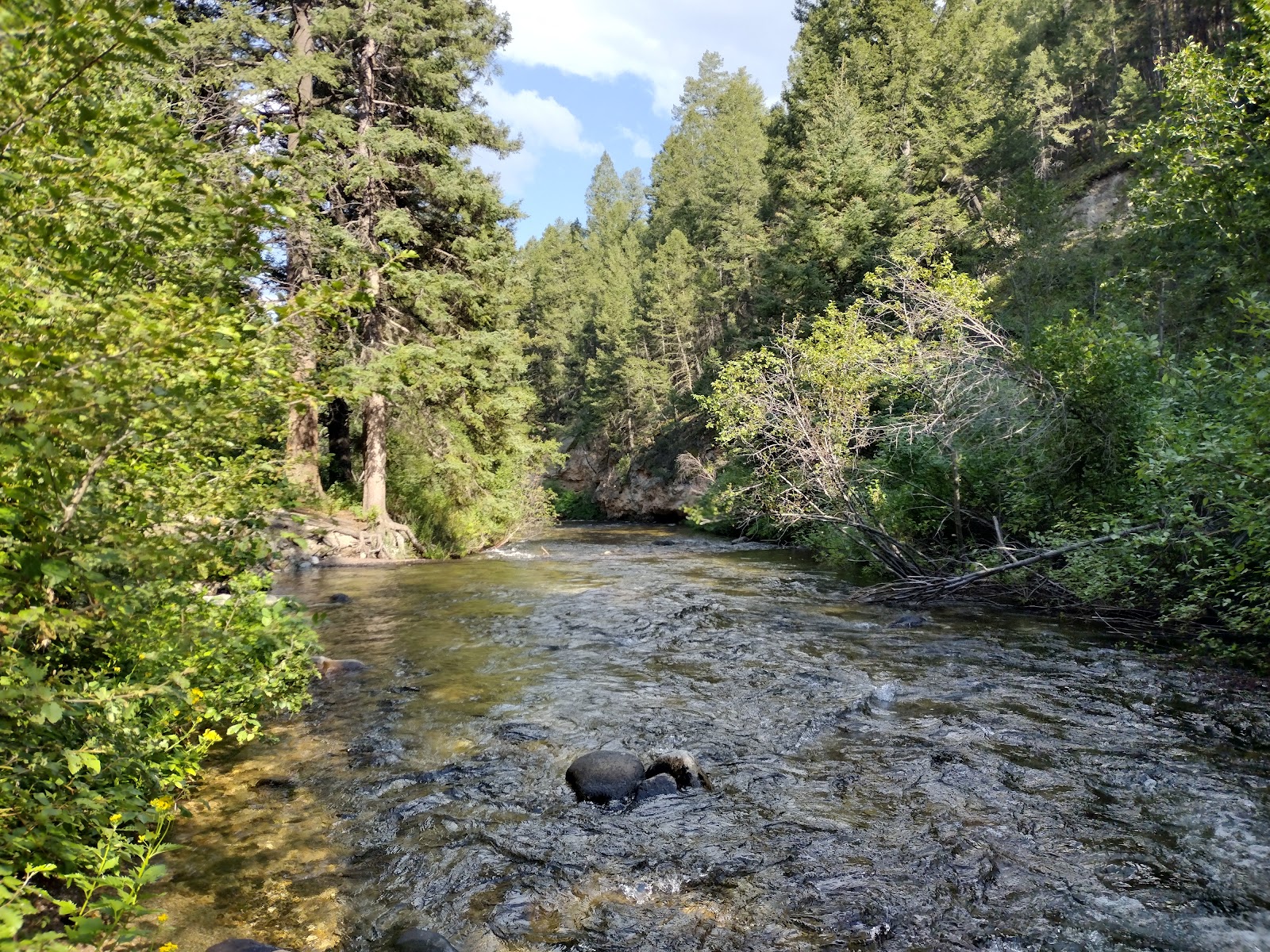 Racetrack Campground and Picnic Area