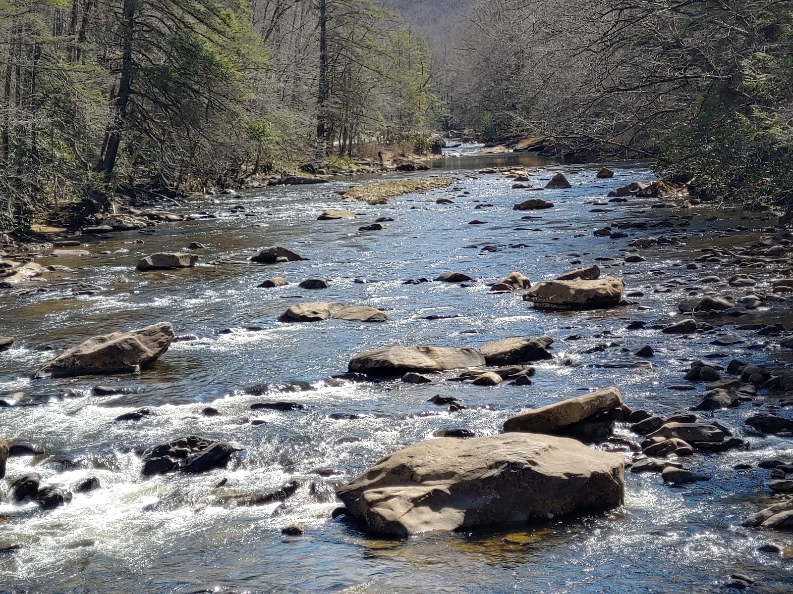 Big Rock NF Campground