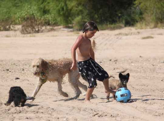 Flagstop Resort & RV Park