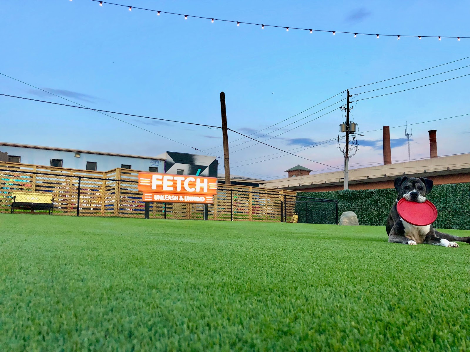 Fetch Park
