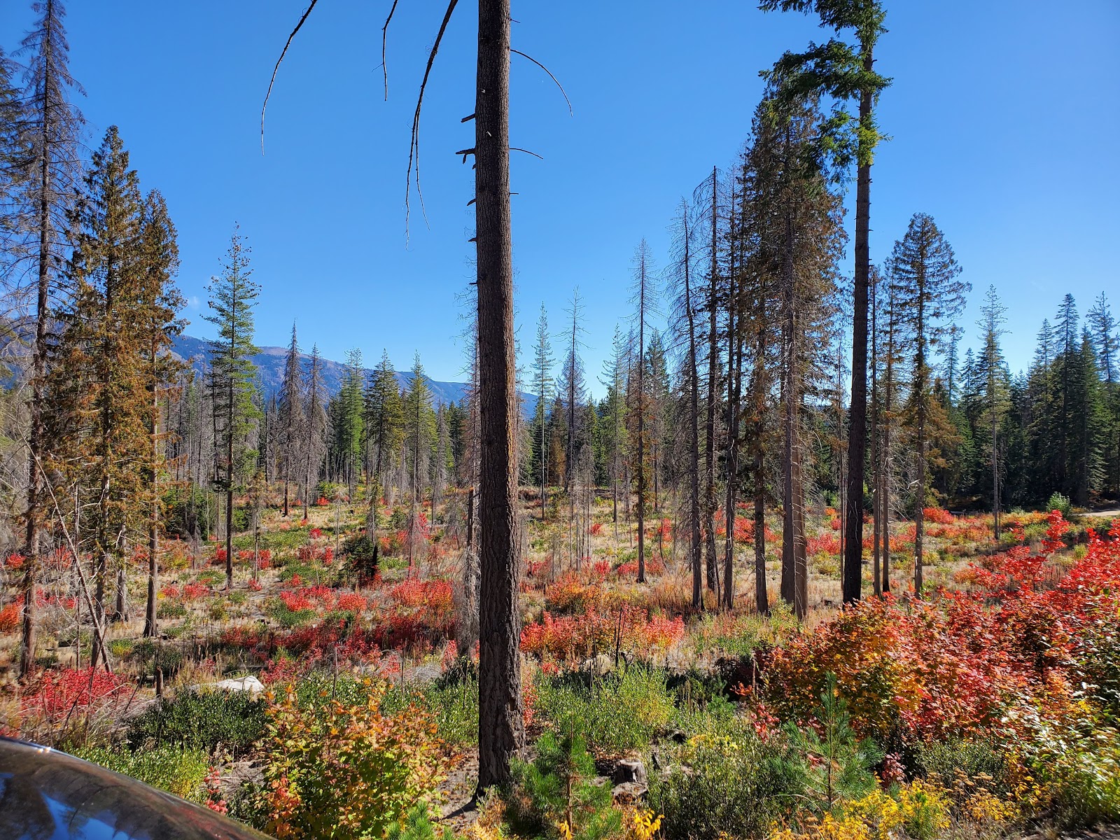 Meadow Creek Campground