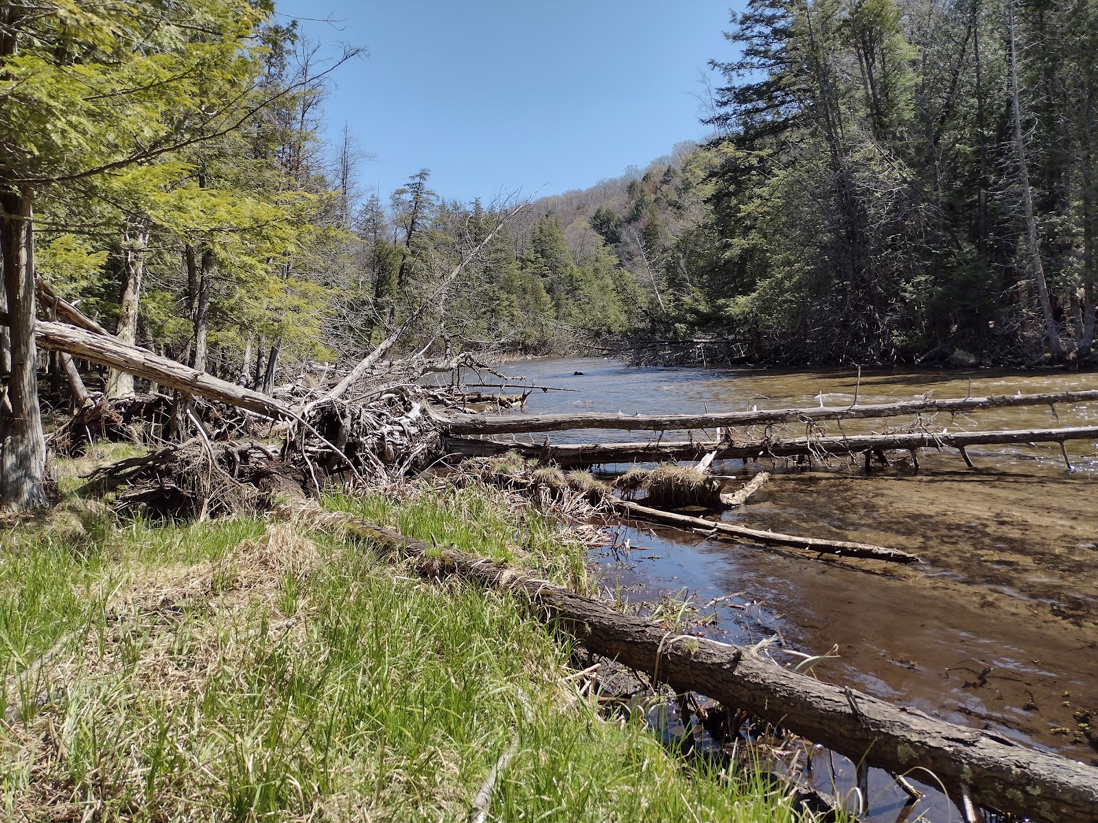 Platte River SF Campground