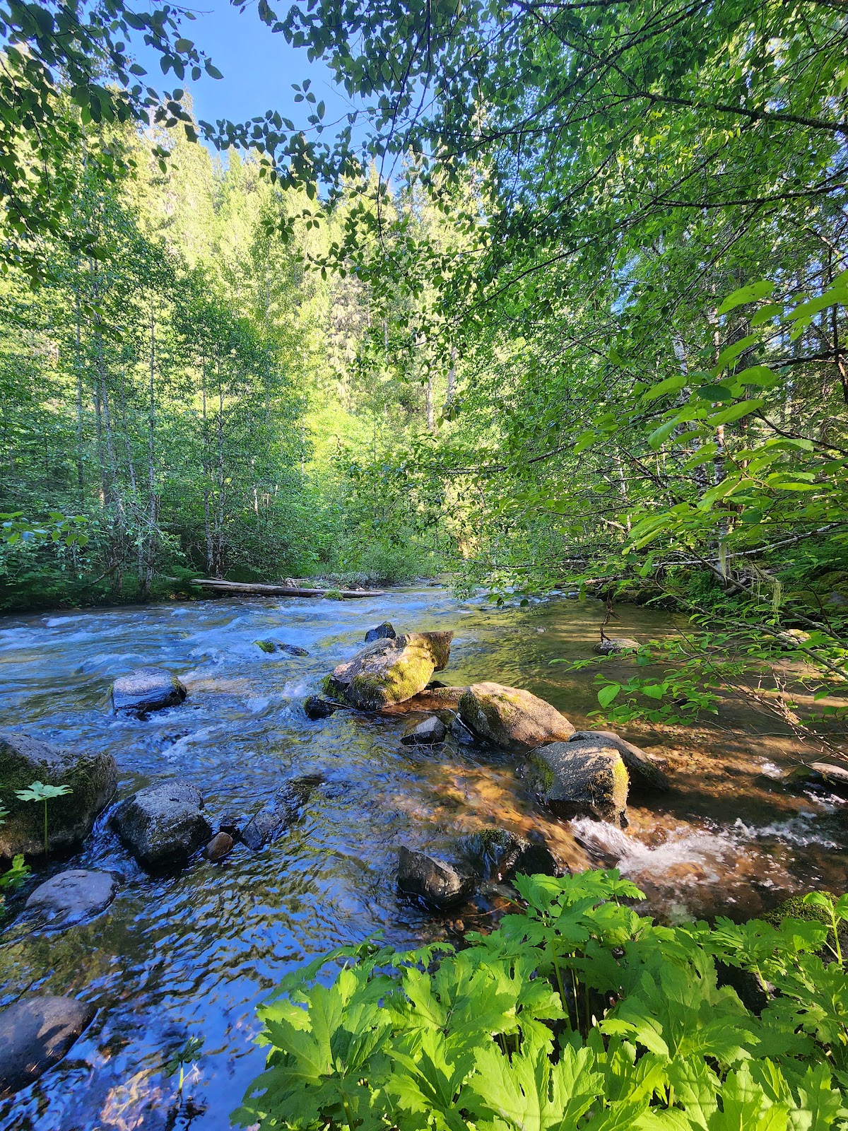 Panther Creek Campground
