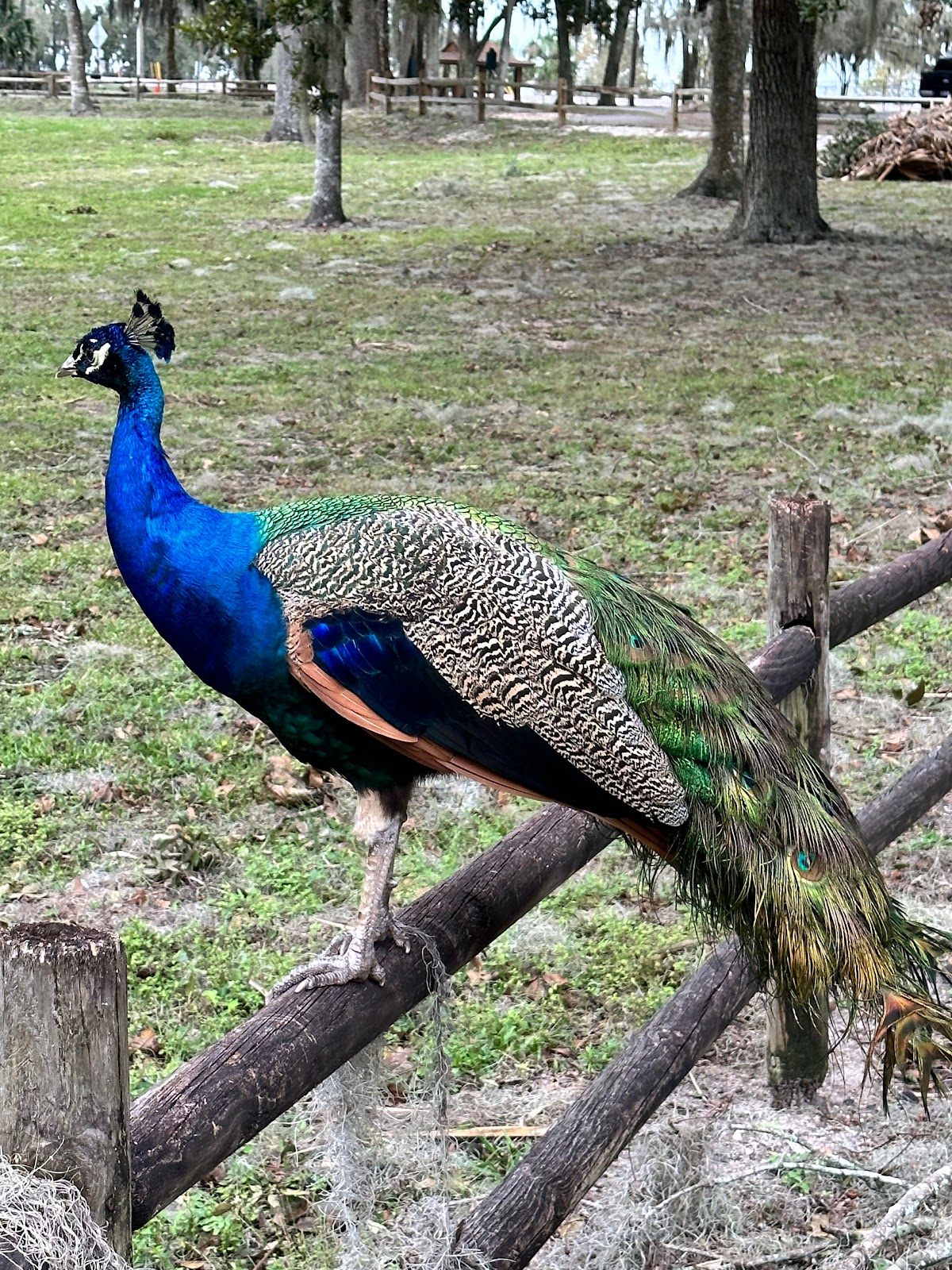 Magnolia County Park