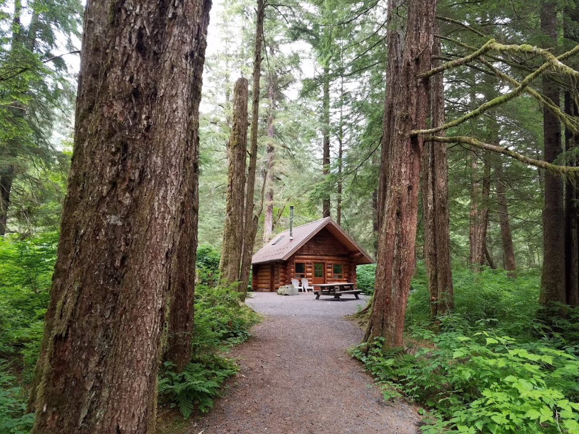 Starrigavan Creek Cabin