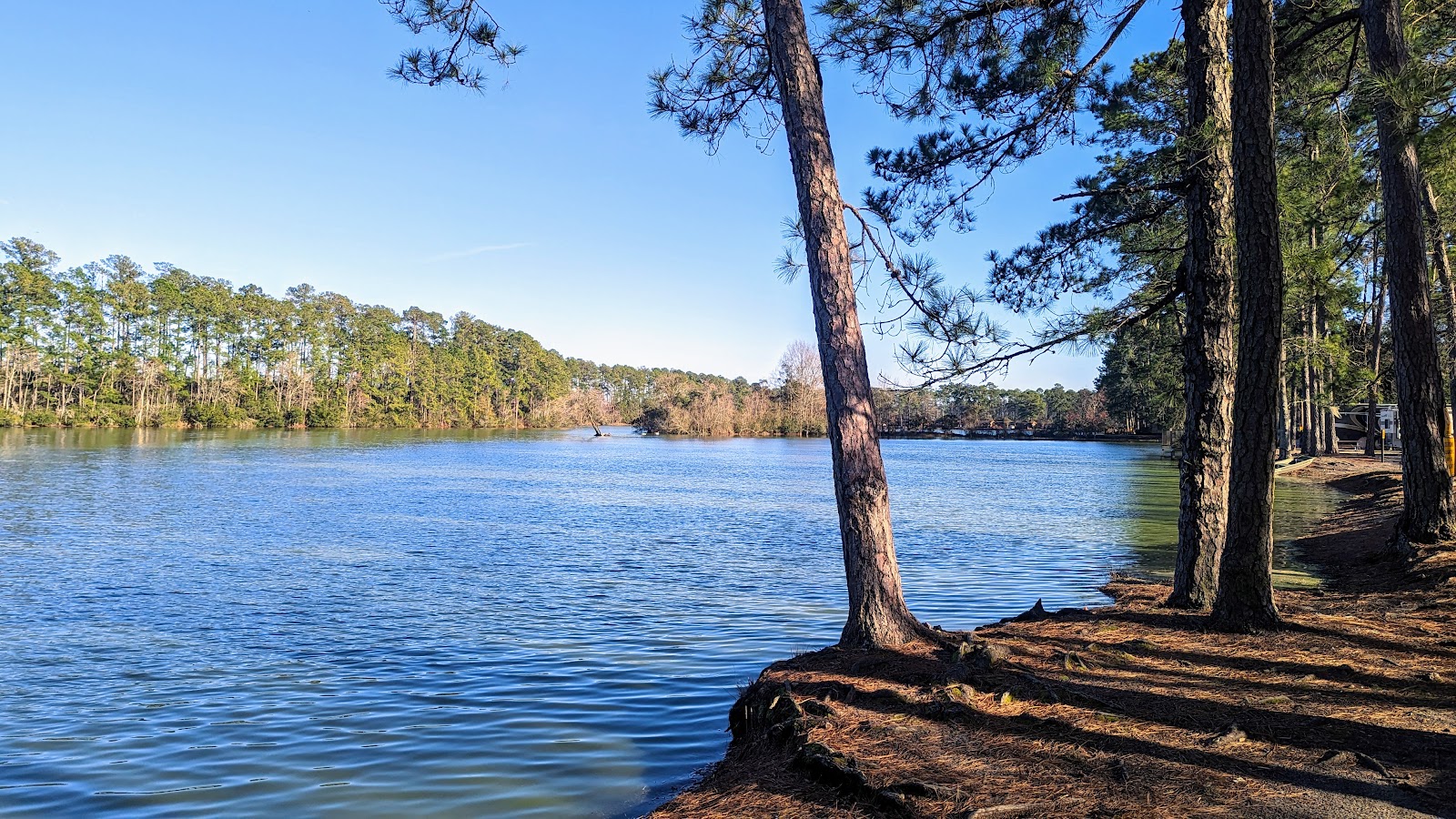 Savannah South – KOA