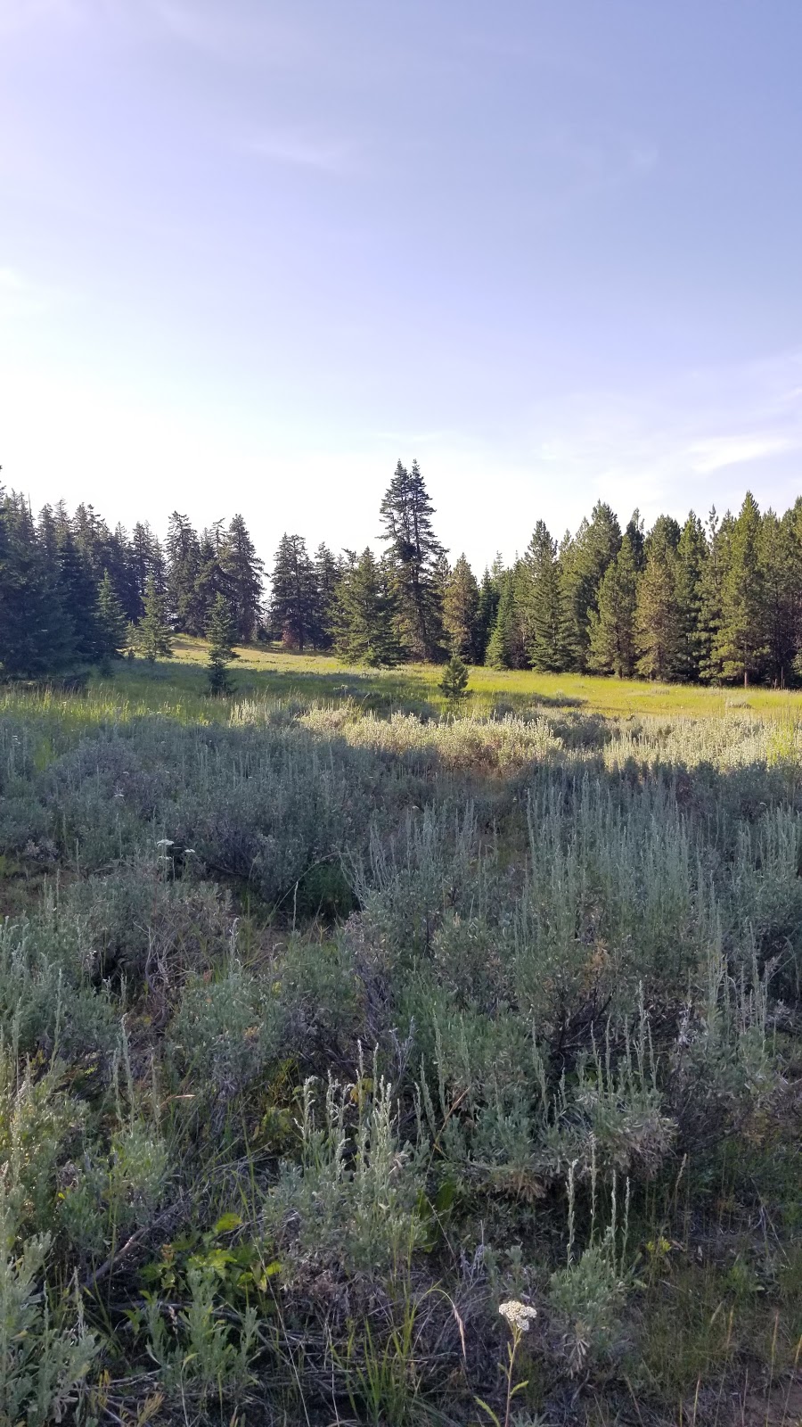 Tamarack Springs Campground