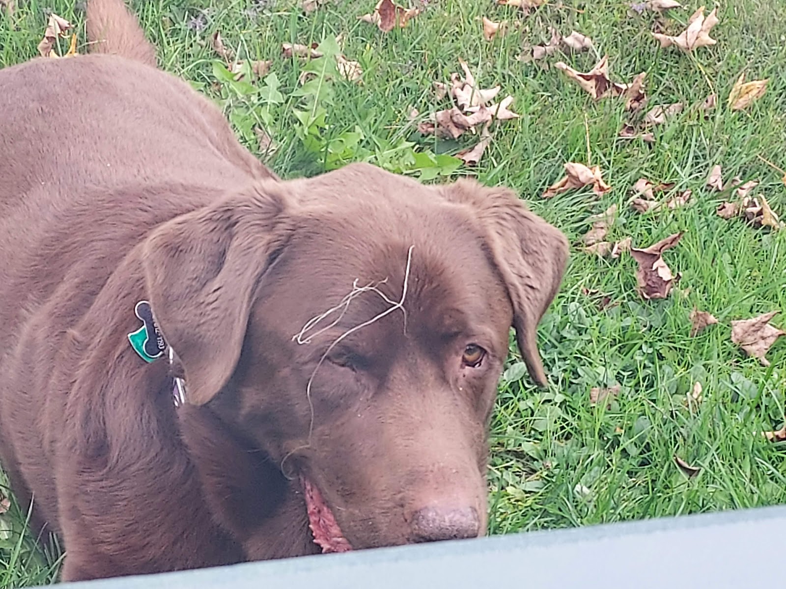 Aqua Vista Valley Campgrounds