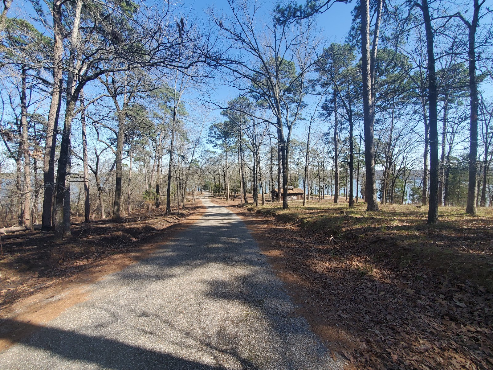 Big Fir Public Use Area