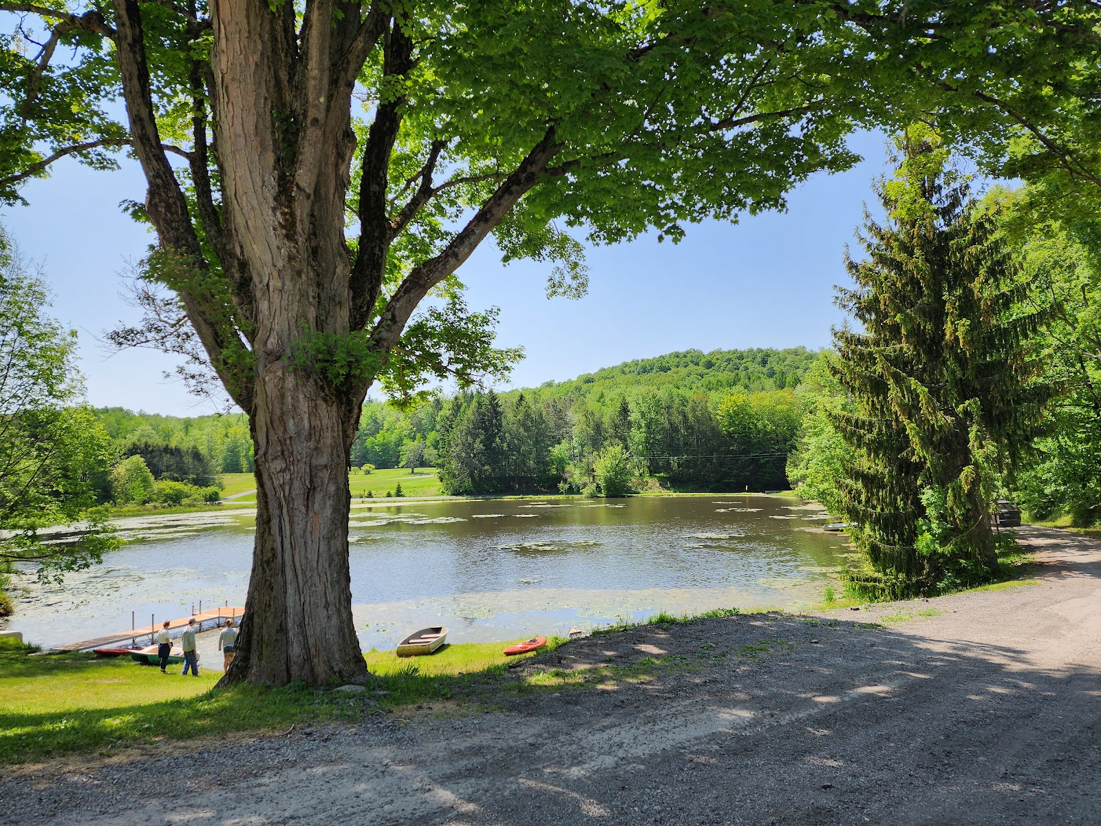 Shore Forest Campground