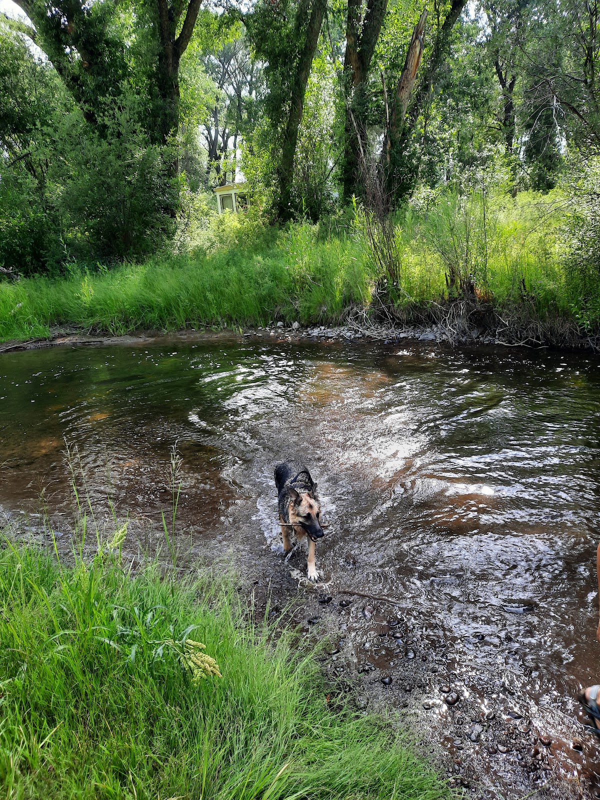 Twin Rivers Cabins and RV Park