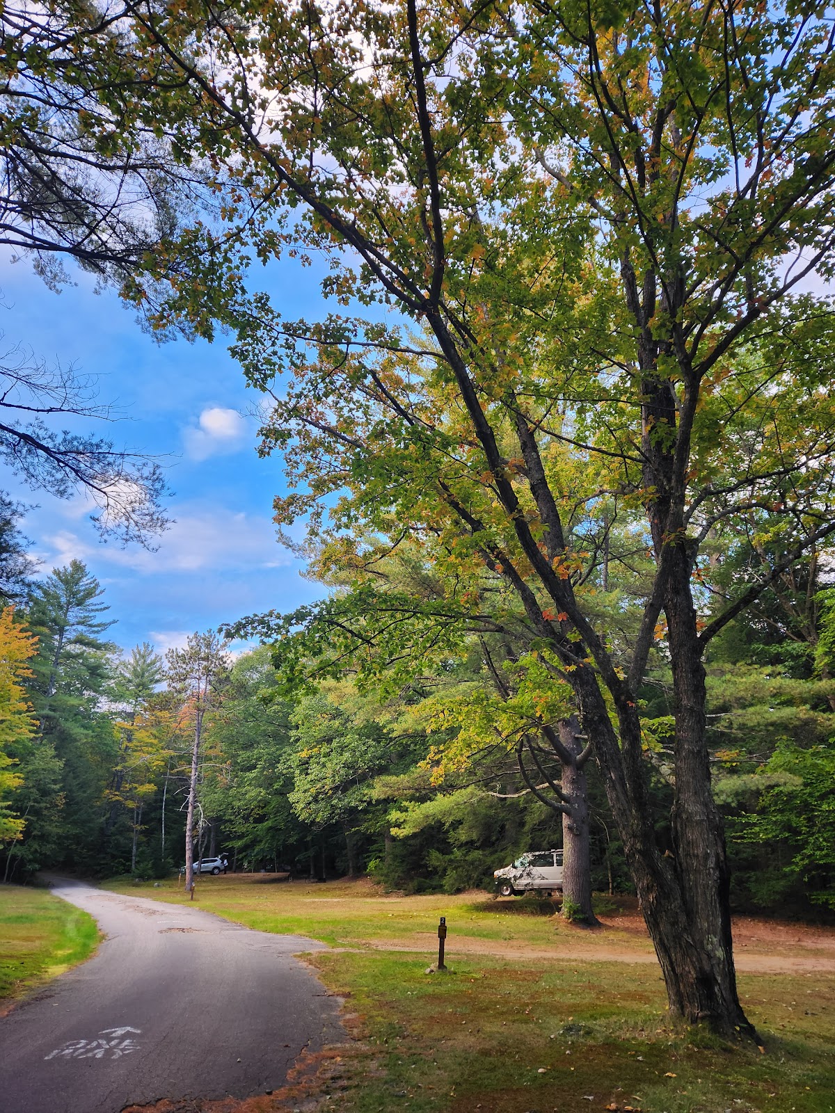 White Ledge Campground