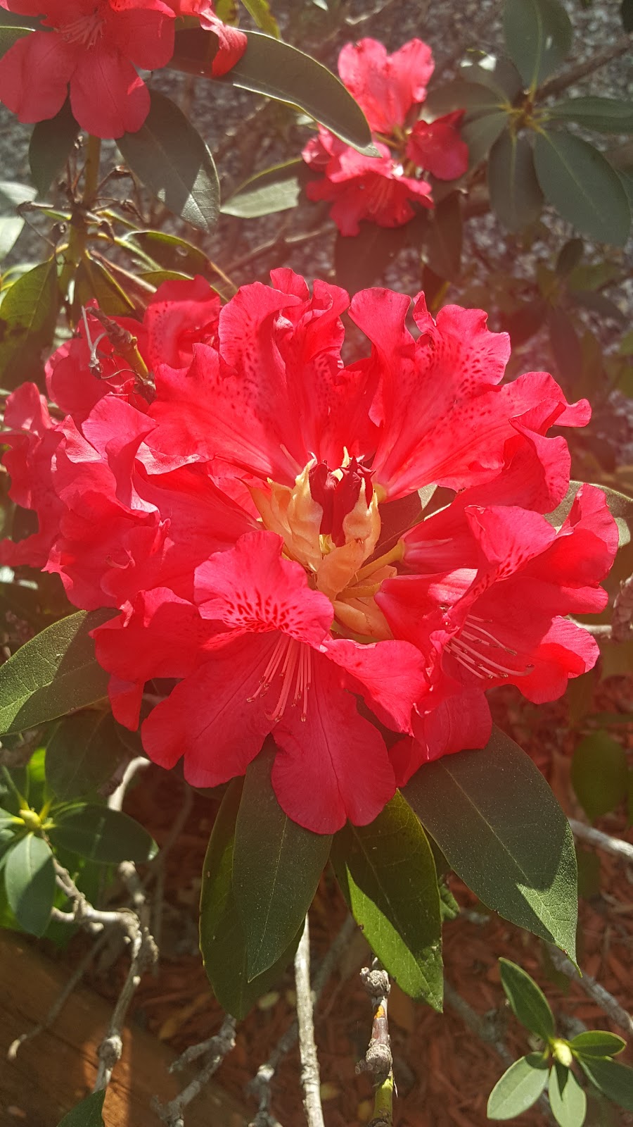 Brookside Campground